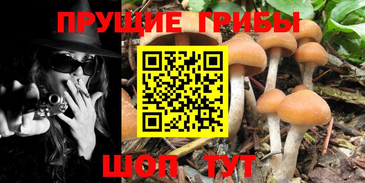 Галлюциногенные грибы MAGIC MUSHROOMS Казань