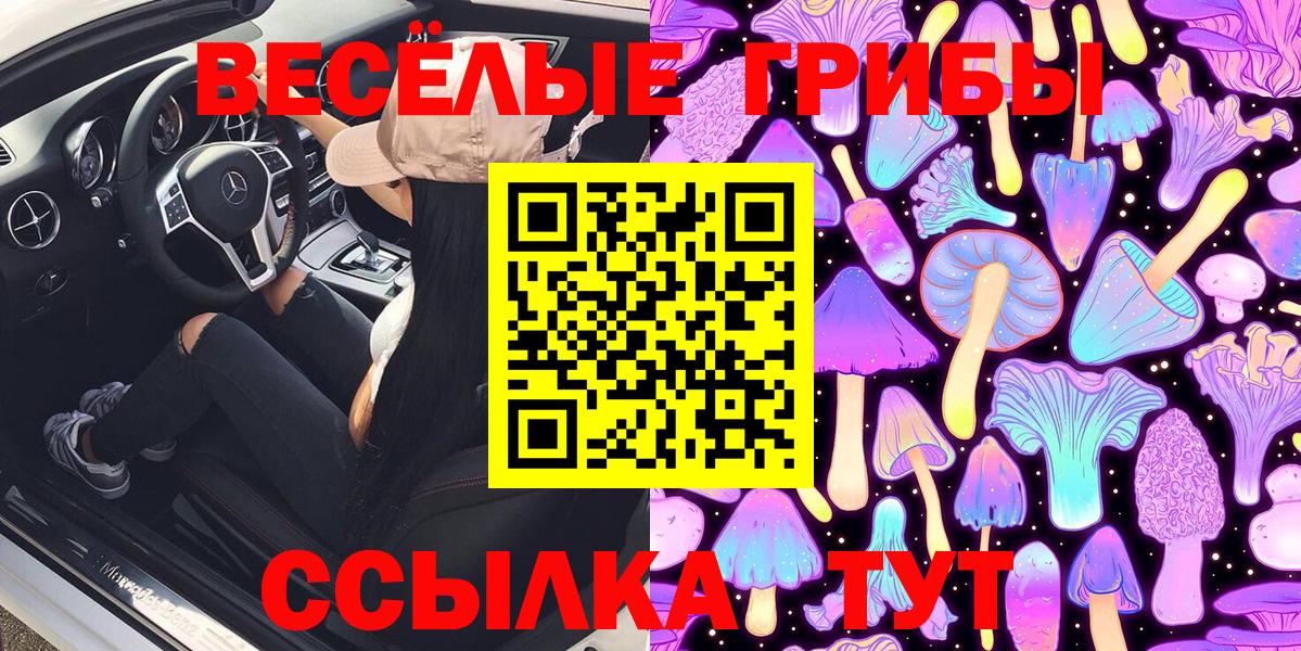 Казань  Галлюциногенные грибы Cubensis  Вход с VPN 